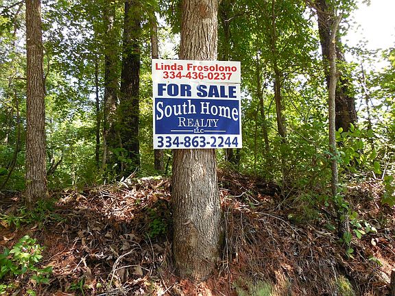 2nd image of 4 Acres Louina Road