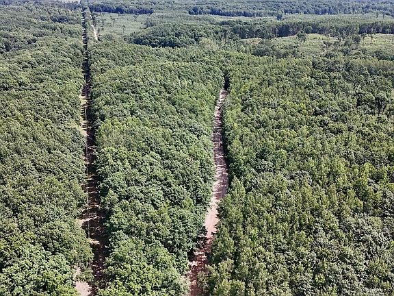 4th image of 7 Mile Rd