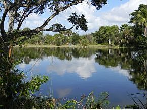 5th image of 4041 Coquina Dr