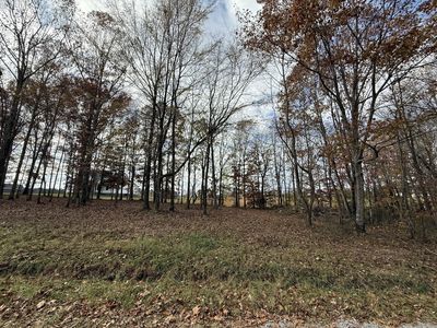 0 Cotton Ln Lot 22, Leoma, TN, 38468