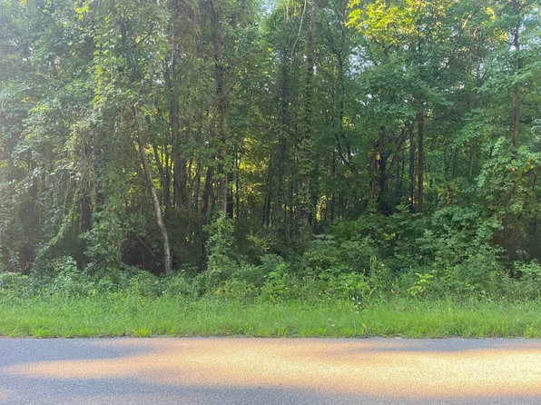 13164 Beckwith Dr NE, Lowell, MI 49331