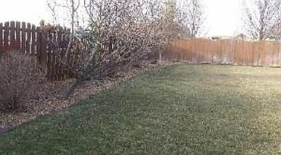 3rd image of 1607 Hatteras Dr