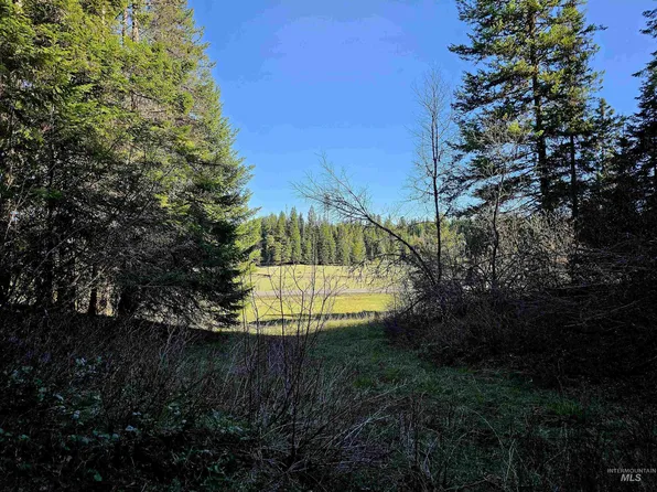 11 Highway, Weippe, ID 83553