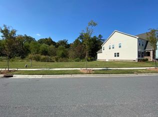 13717 Helen Benson Blvd, Davidson, NC 28036
