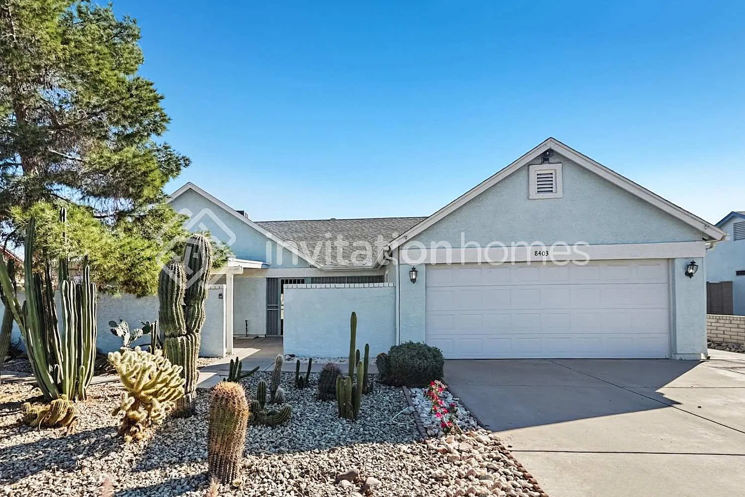8403 W Windrose Dr Peoria, AZ 85381 — Photo 1