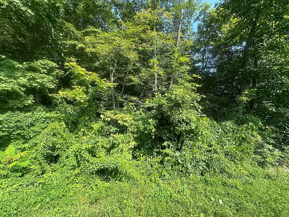 2nd image of 0 Holly Creek Rd