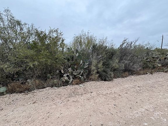 3rd image of LOT 60 Los Fresnos Loop