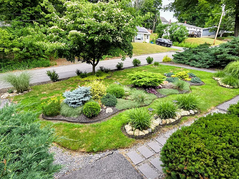 front yard
