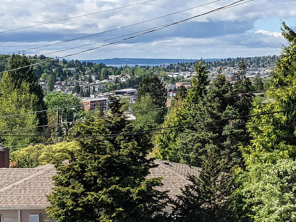 Living Room View