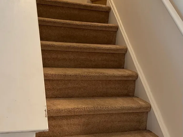 1161 Tudor Dr — Photo 18