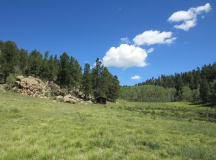 1071 County Road 71, Guffey, CO 80820
