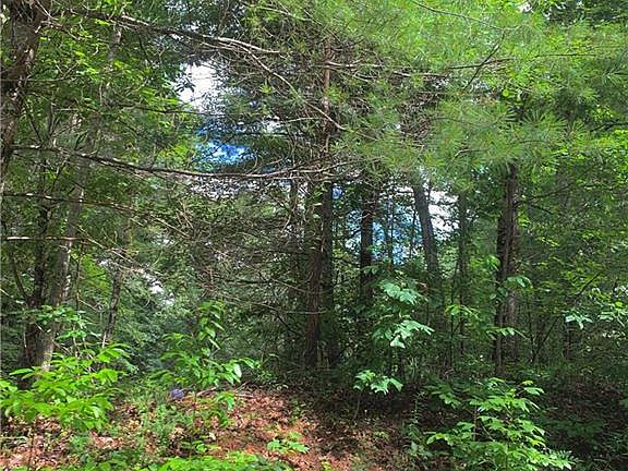 4th image of Echota Falls Dr