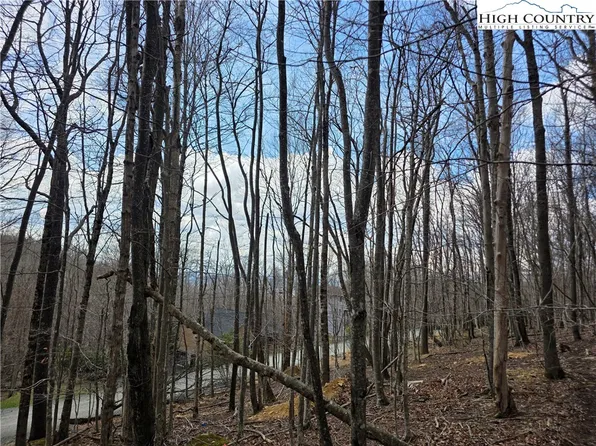 109 Hawthorne Road, Beech Mountain, NC 28604