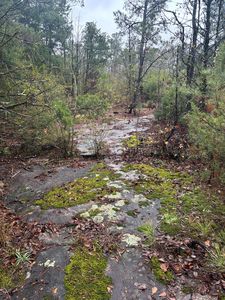 1206 Bridge Way, Columbus, GA, 31904