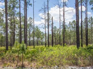 17702 Long Ridge Rd, Tampa, FL 33647