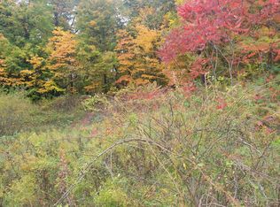 74032 Ridgeway, Lawton, MI 49065