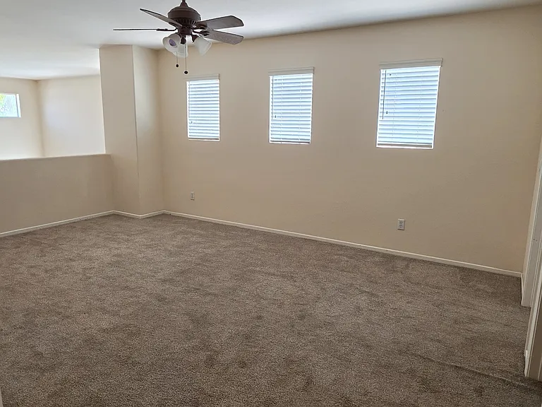 26232 Palm Tree Ln — Photo 14