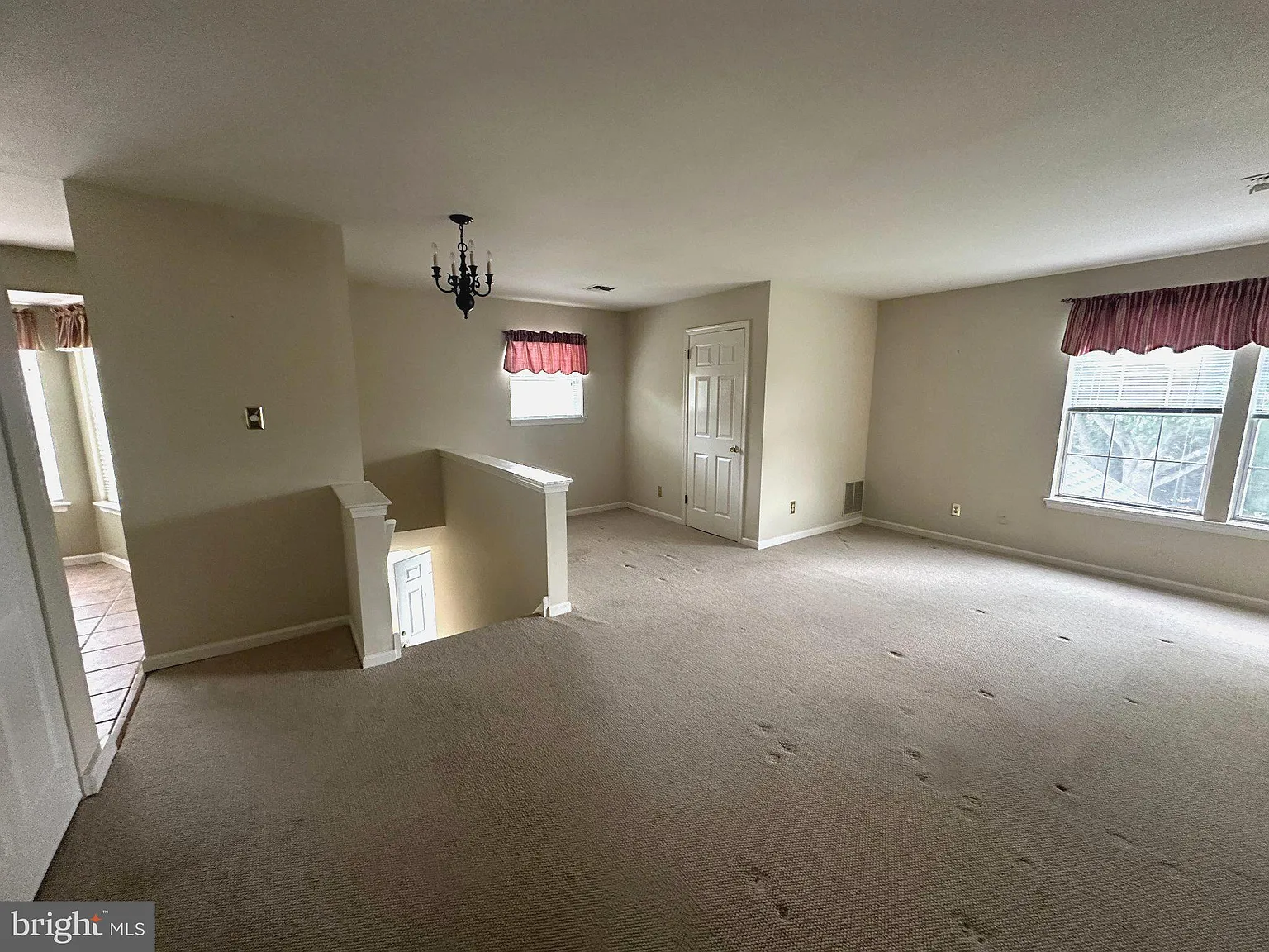1 bed, 1.0 bath, 828 sqft, $1,800 — Photo 3