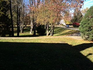 yard photo 1