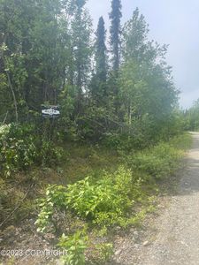 13892 E McKinley Dr, Willow, AK, 99688