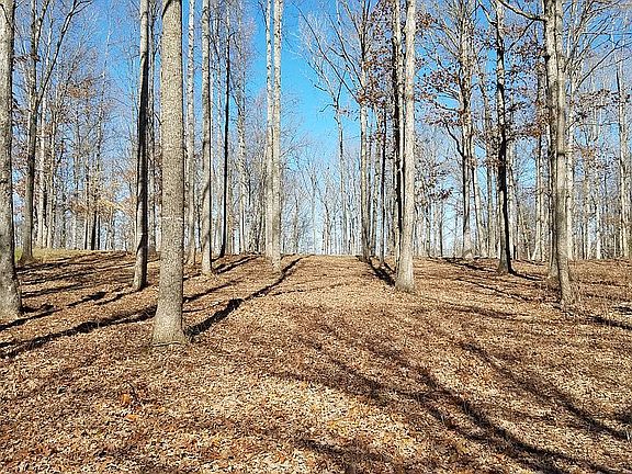 5th image of Olive Branch Ct #14