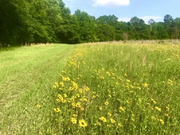 S Salt Rd, Monticello, FL 32344