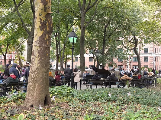 Rented by Sky Management | media 46