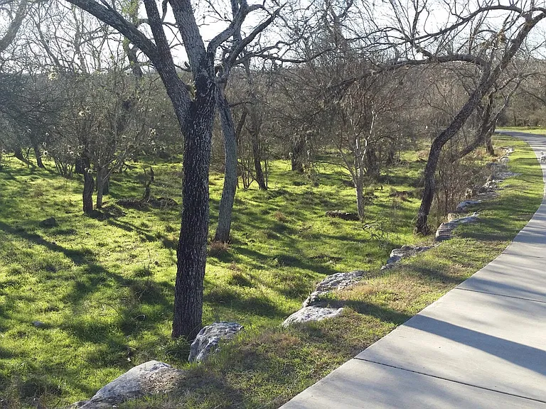 7011 Mary Todd Dr — Photo 17