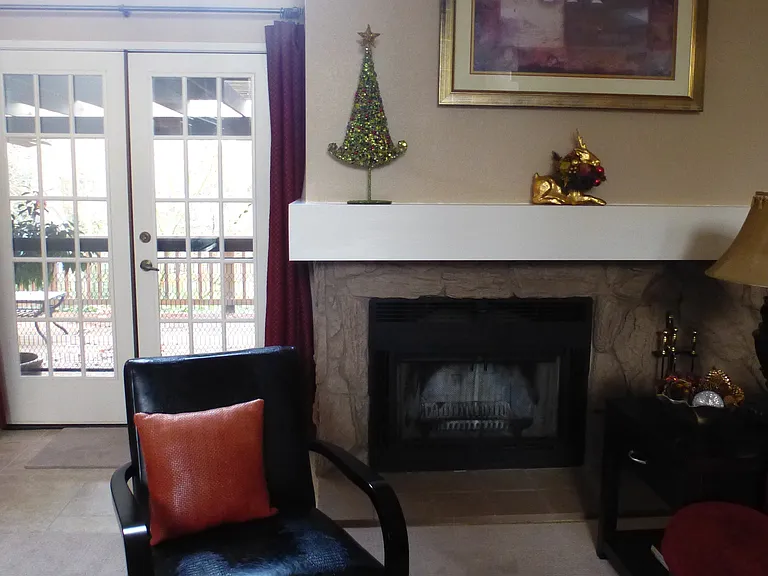 Living Room Fire Place