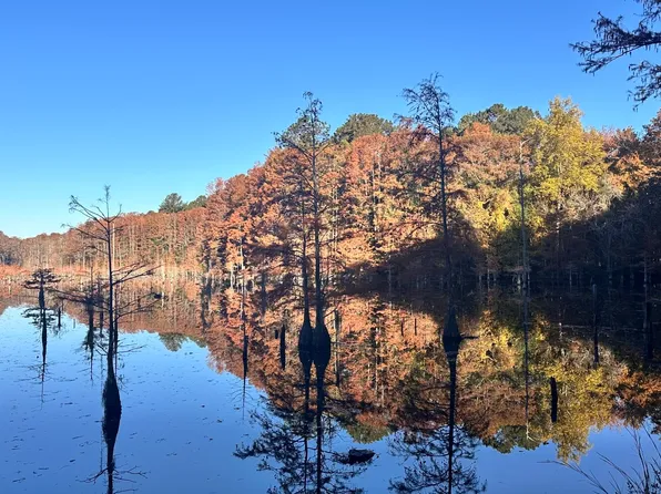 0 W Bobo Newsom Hwy, Hartsville, SC 29550