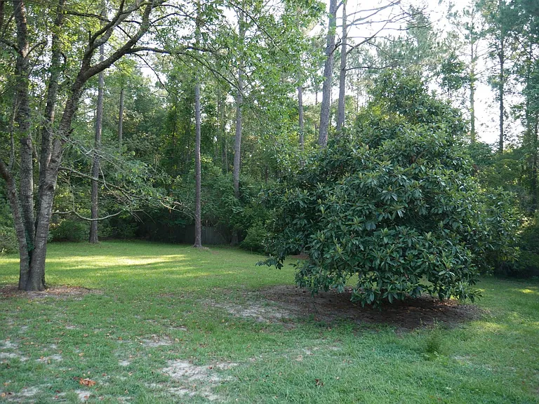 4906 Timberwood Dr — Photo 30