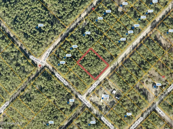 .73 Acres Beech Road, Boiling Spring Lakes, NC 28461