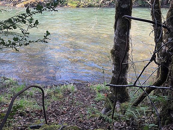 North Fork of Willamette