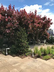 Rented by Douglas Keisler, LREB