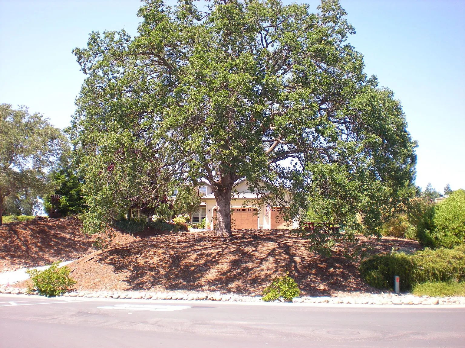 3581 Devon Way photo 1