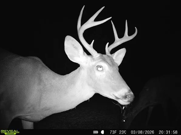 0 County Road 103, San Diego, TX 78384