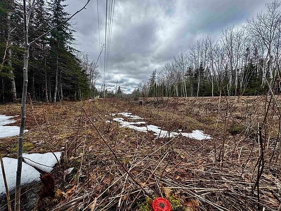 4th image of Basin Rd