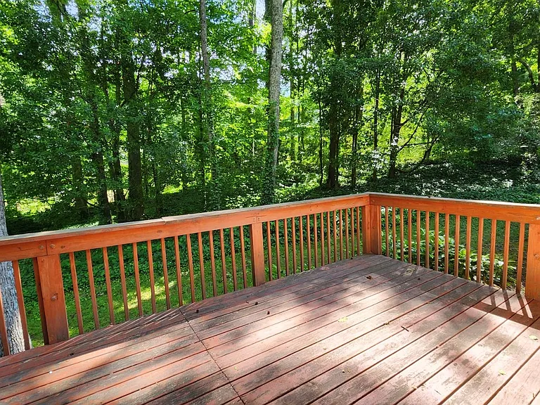 Backyard Deck