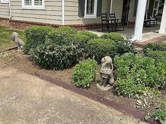 5th image of 1135 Ivy Dr