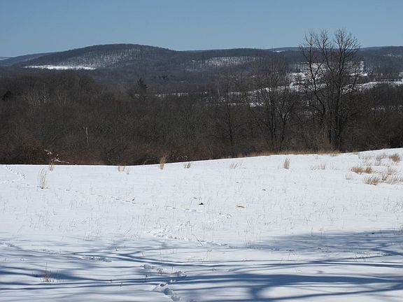 view from right field