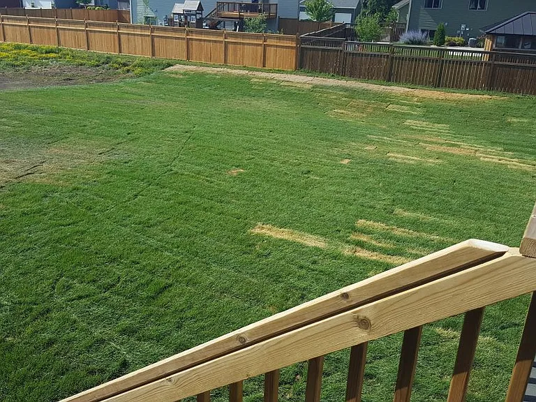 Yard