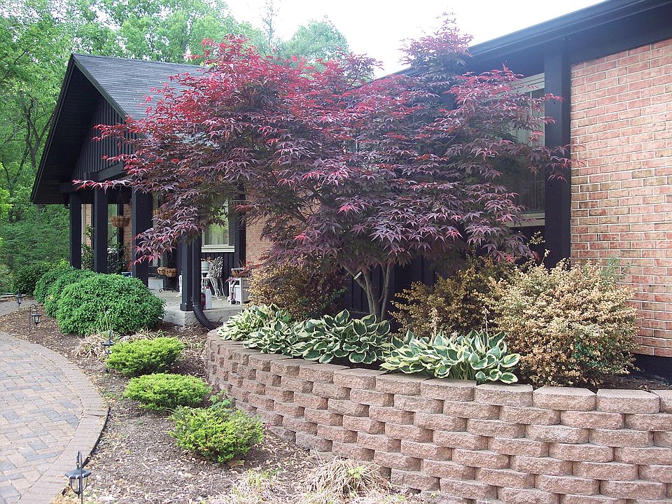 1st image of 5449 Casa Royale Dr