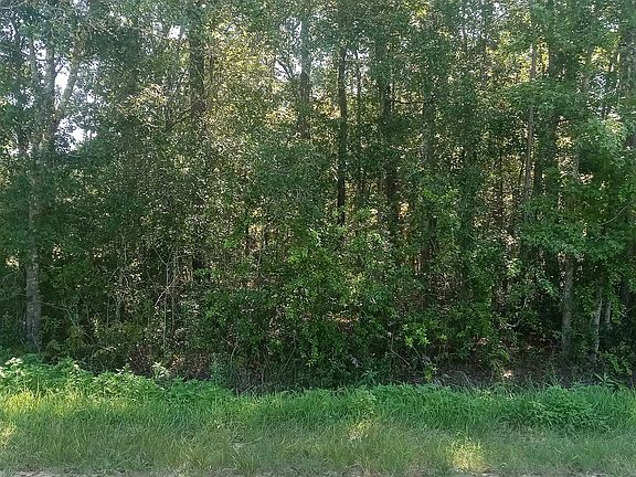 2nd image of 2265 JUNEBERRY Court