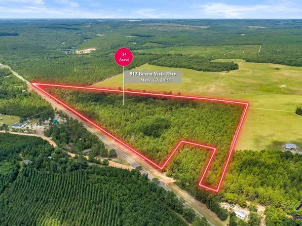 912 Buena Vista Hwy, Mauk, GA 31058