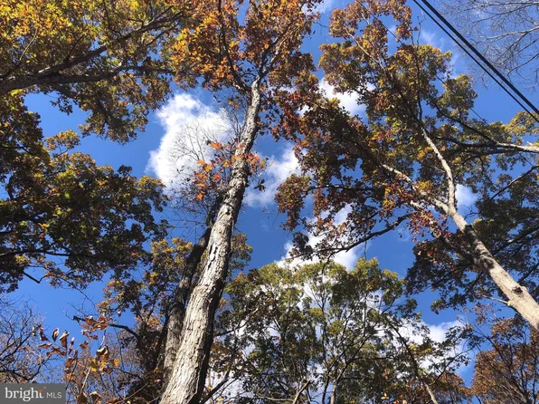 Cliff Ln, Bluemont, VA 20135