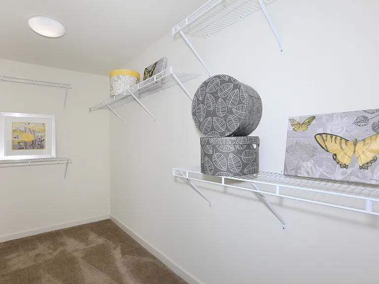 Paseos At Magnolia Luxury Apartments Homes — Photo 29
