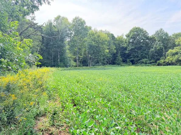 10 Acres Lot 4 230th Street, St Croix Falls, WI 54024