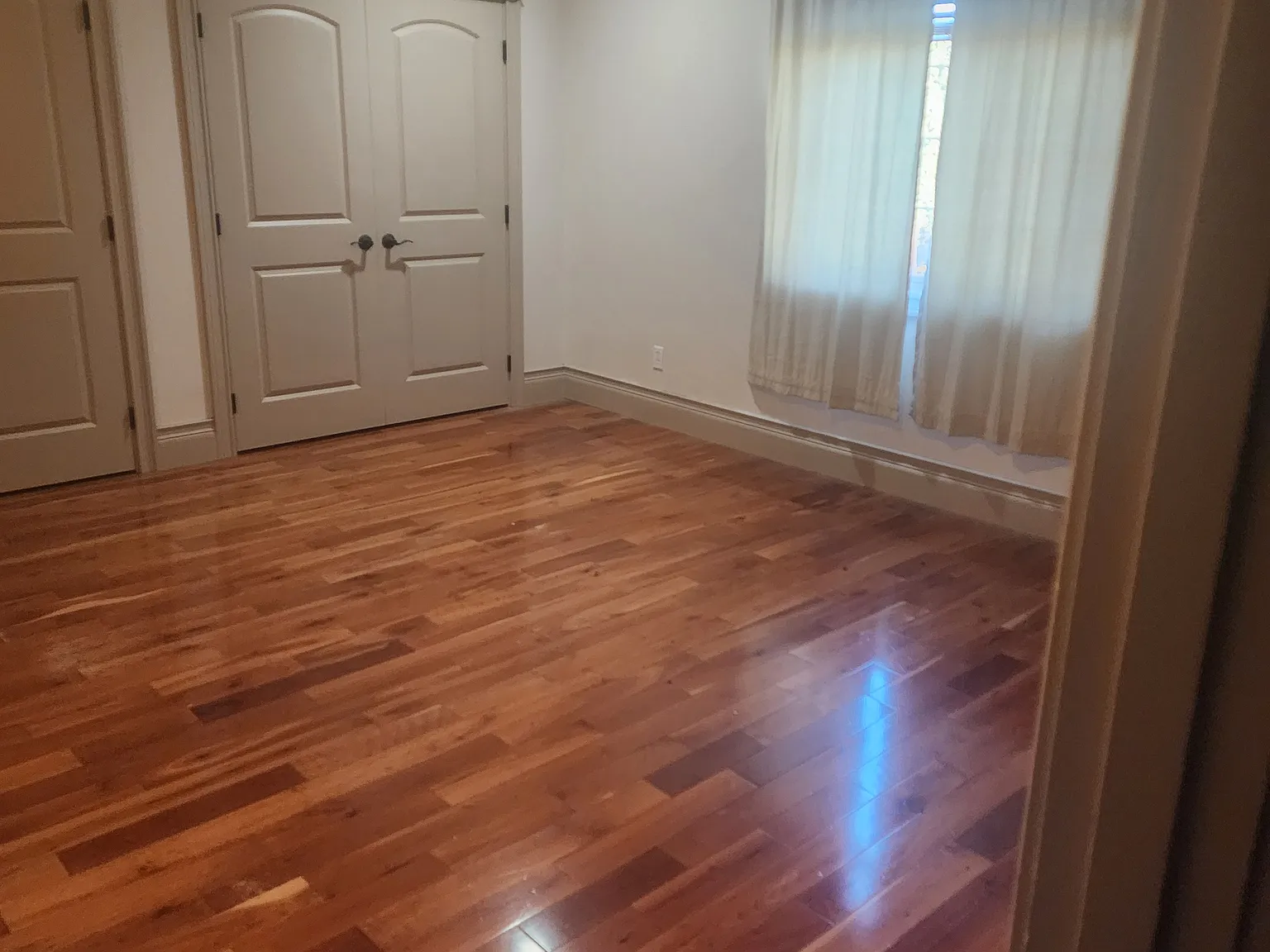 Studio, 200 sqft, $725 — Photo 4