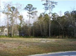 53 Moreton Way, Richmond Hill, GA 31324