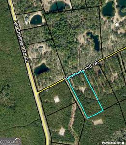 0 Hawthorne Rd NE, Townsend, GA, 31331